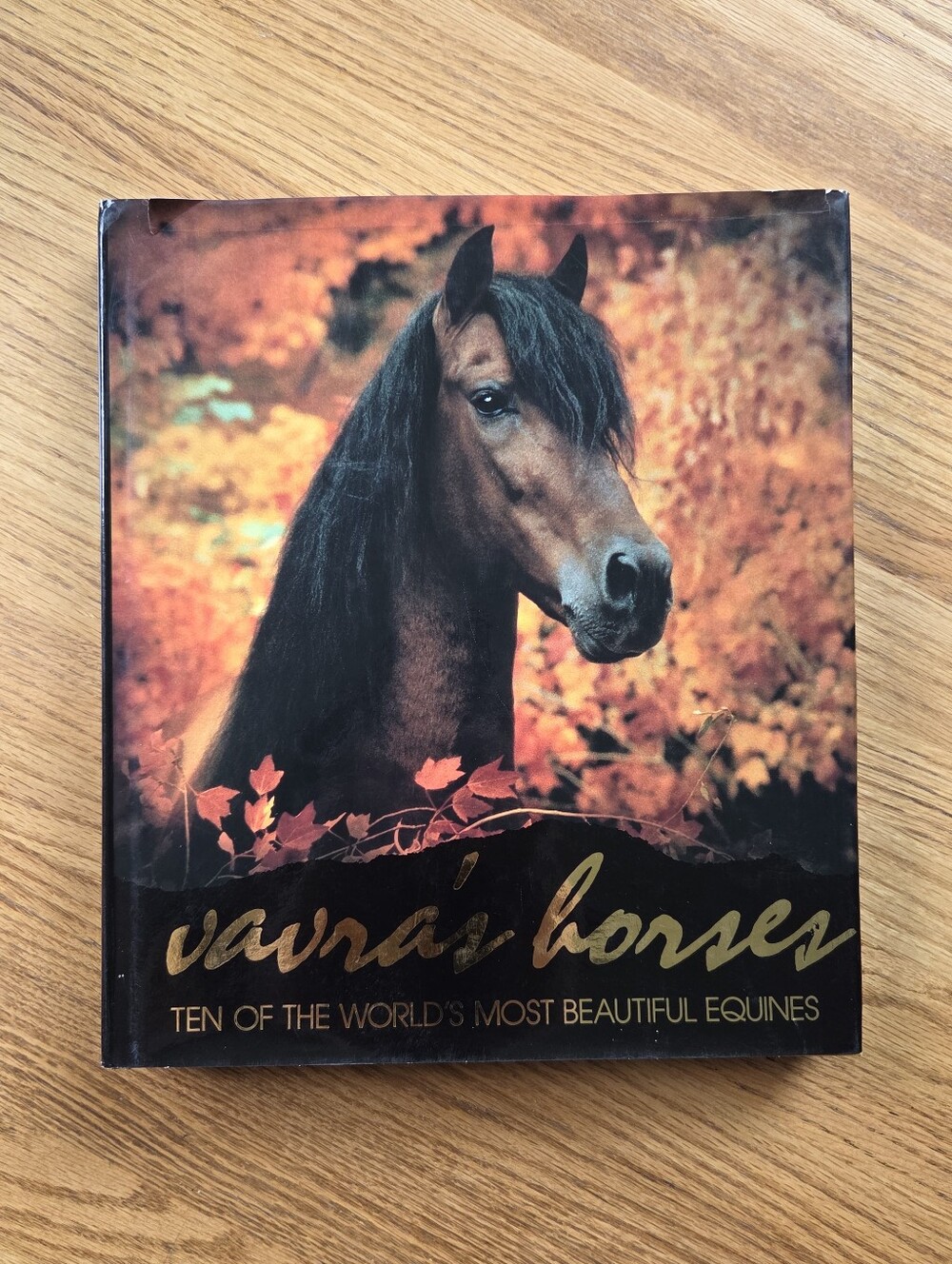 Vavra's Horses: Ten Of The World's Most Beautiful Equines. Photography Book.
